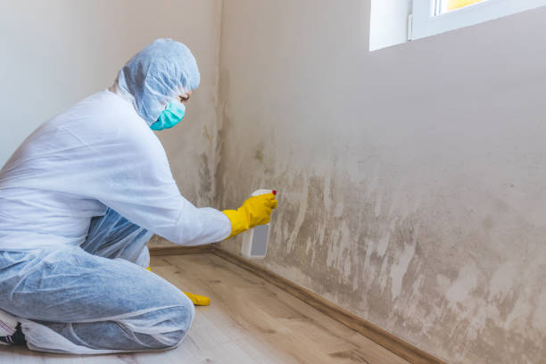 Bathroom Mold Removal assessment in Glenelg bathroom